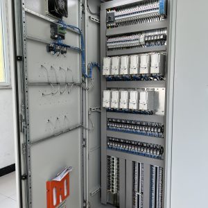 PLC / DCS Cabinets & Software